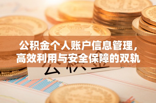 巴青公积金个人账户信息管理，高效利用与安全保障的双轨并行