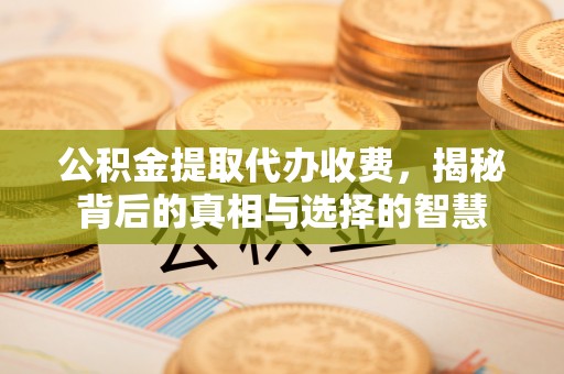 巴青公积金提取代办收费，揭秘背后的真相与选择的智慧