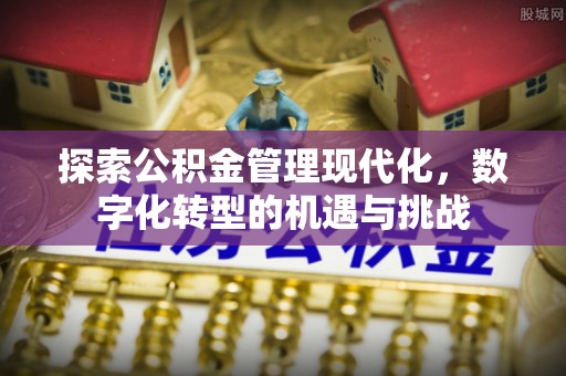 巴青探索公积金管理现代化，数字化转型的机遇与挑战