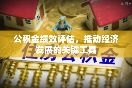巴青公积金绩效评估，推动经济发展的关键工具