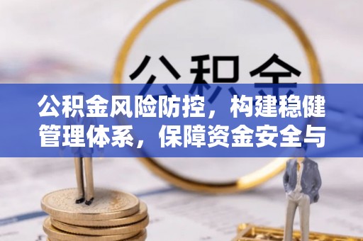 巴青公积金风险防控，构建稳健管理体系，保障资金安全与高效利用