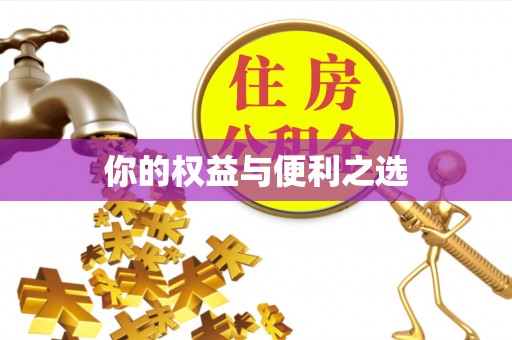 巴青你的权益与便利之选