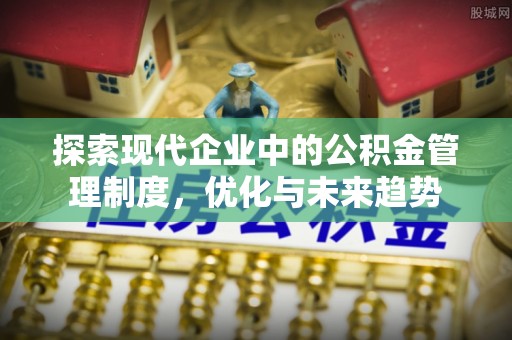 巴青探索现代企业中的公积金管理制度，优化与未来趋势