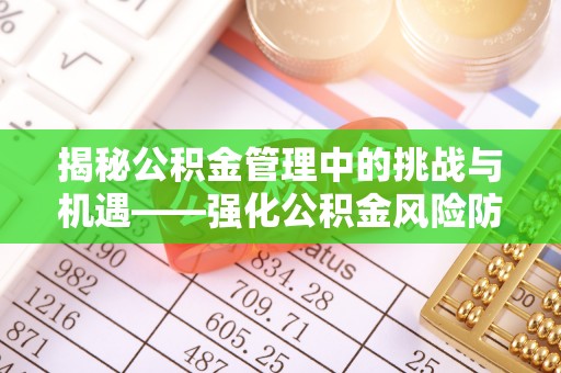 巴青揭秘公积金管理中的挑战与机遇——强化公积金风险防控的多维策略