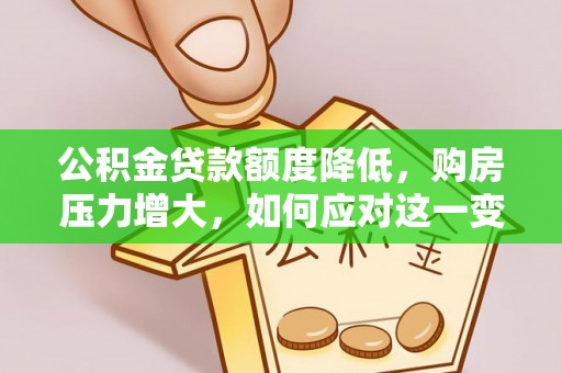巴青公积金贷款额度降低，购房压力增大，如何应对这一变化？
