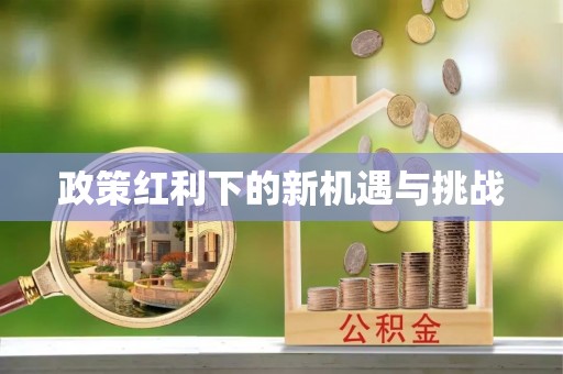巴青政策红利下的新机遇与挑战