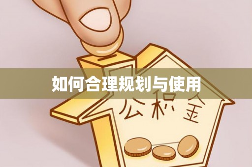 巴青如何合理规划与使用