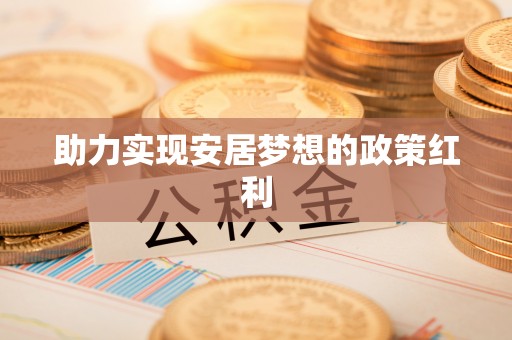 巴青助力实现安居梦想的政策红利