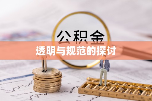 巴青透明与规范的探讨