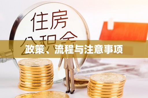 巴青政策、流程与注意事项