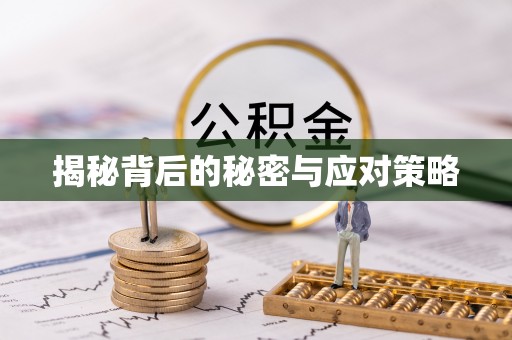 巴青揭秘背后的秘密与应对策略