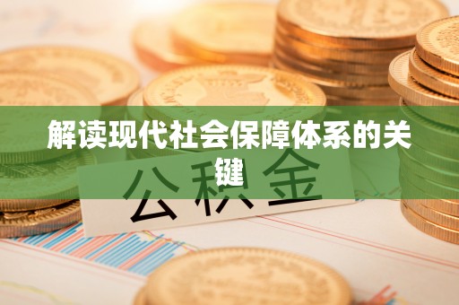 巴青解读现代社会保障体系的关键