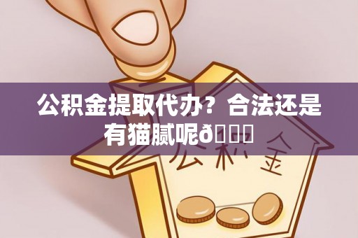 巴青公积金提取代办？合法还是有猫腻呢😏