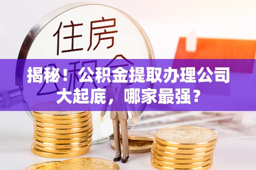 巴青揭秘！公积金提取办理公司大起底，哪家最强？