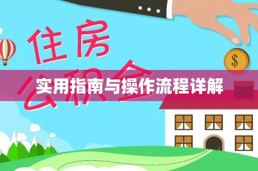 巴青实用指南与操作流程详解