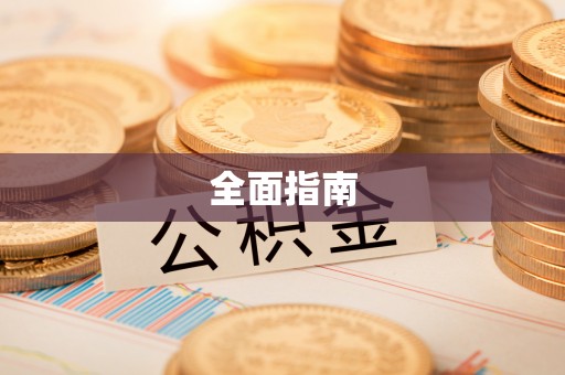 巴青全面指南