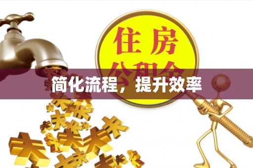 巴青简化流程，提升效率