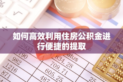巴青如何高效利用住房公积金进行便捷的提取