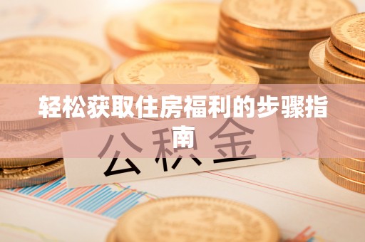 巴青轻松获取住房福利的步骤指南