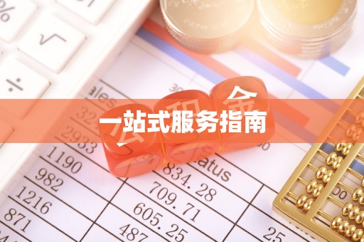 巴青一站式服务指南