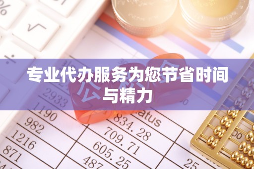 巴青专业代办服务为您节省时间与精力