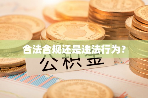 巴青合法合规还是违法行为？