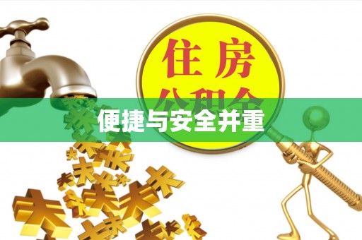 巴青便捷与安全并重