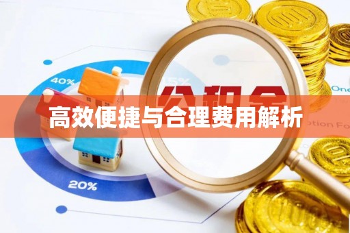 巴青高效便捷与合理费用解析