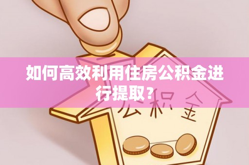 巴青如何高效利用住房公积金进行提取？