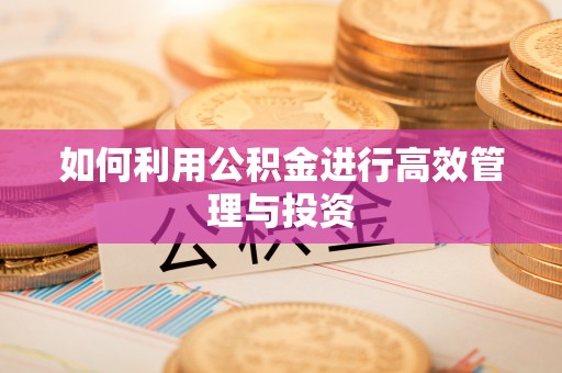 巴青如何利用公积金进行高效管理与投资