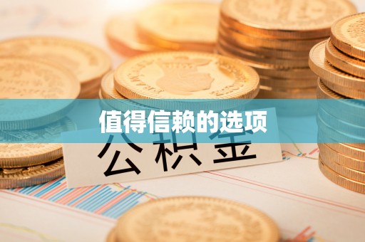 巴青值得信赖的选项