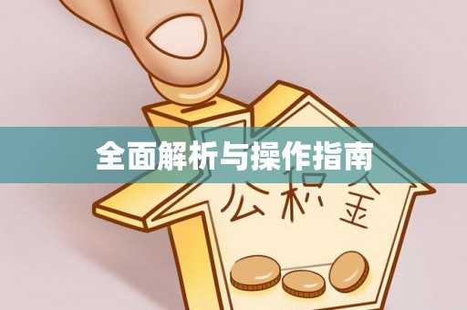 巴青全面解析与操作指南