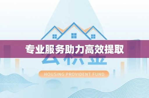 巴青专业服务助力高效提取