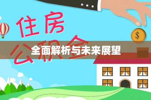 巴青全面解析与未来展望