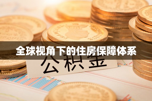 巴青全球视角下的住房保障体系