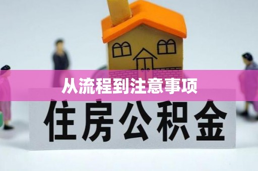 巴青从流程到注意事项