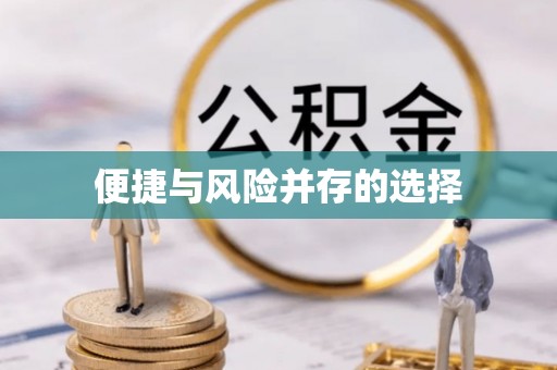 巴青便捷与风险并存的选择