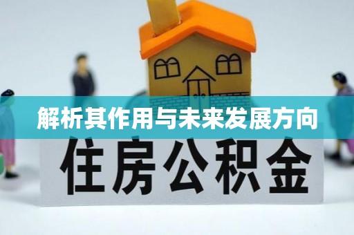 巴青解析其作用与未来发展方向