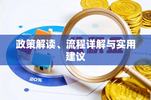 巴青政策解读、流程详解与实用建议