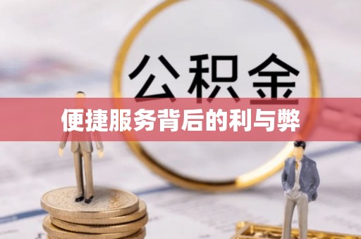 巴青便捷服务背后的利与弊