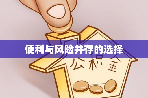巴青便利与风险并存的选择