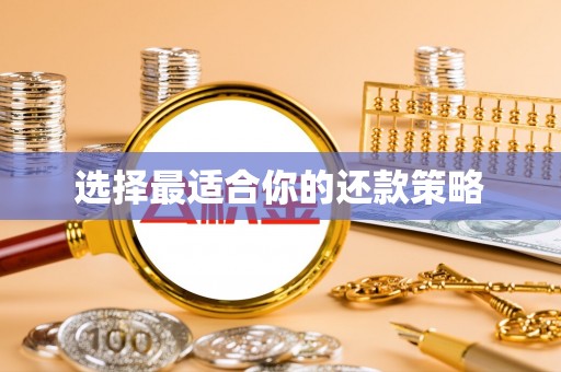 巴青选择最适合你的还款策略