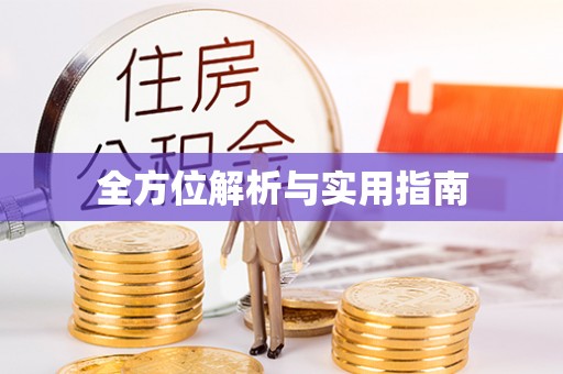 巴青全方位解析与实用指南