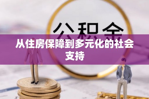 巴青从住房保障到多元化的社会支持