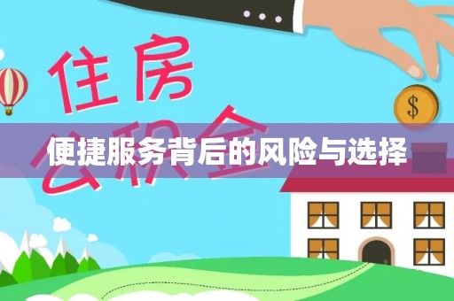巴青便捷服务背后的风险与选择
