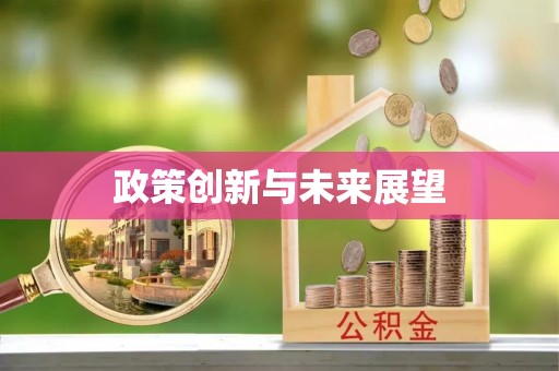巴青政策创新与未来展望