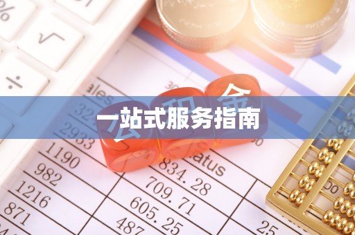 巴青一站式服务指南