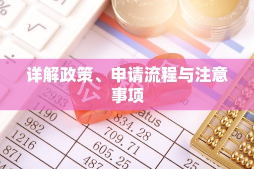 巴青详解政策、申请流程与注意事项