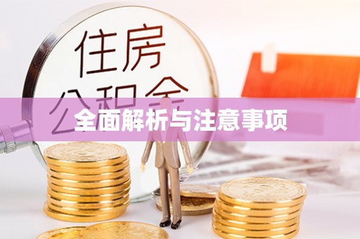 巴青全面解析与注意事项