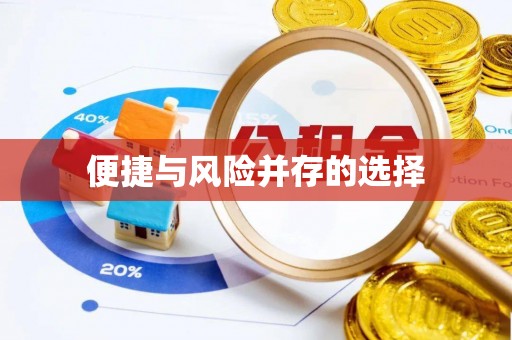 巴青便捷与风险并存的选择